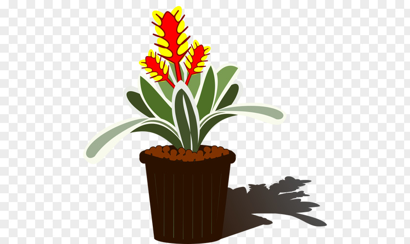 Leaf Clip Art Vector Graphics Houseplant Christmas Bromeliads PNG