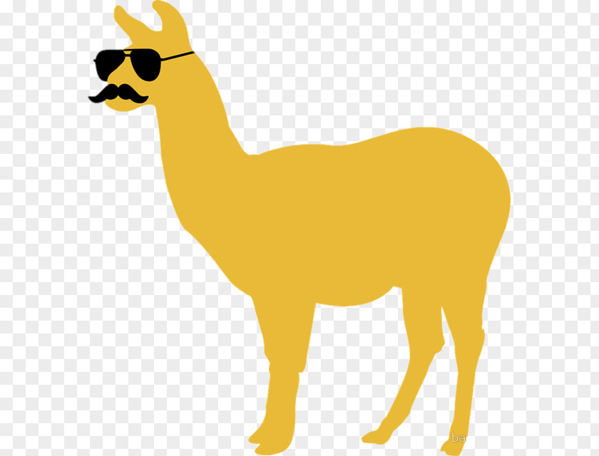 Sunglasses Llama Color Alpaca PNG