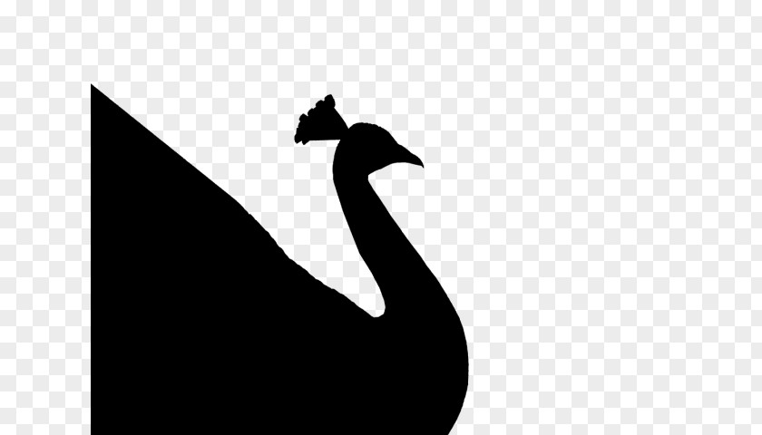 Duck Goose Bird Logo Crane PNG