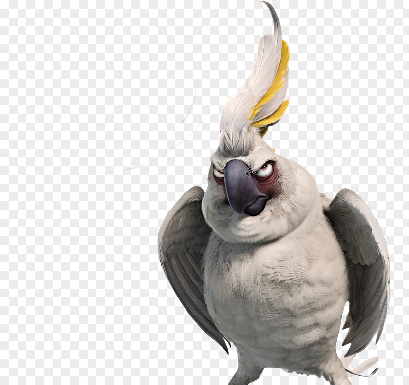 Realplayer Nigel Cockatiel Blu Film Rio PNG