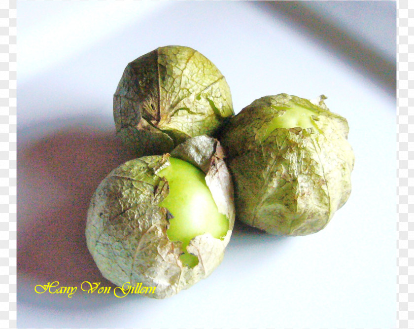 Brussels Sprout Natural Foods Cruciferous Vegetables Tomatillo PNG