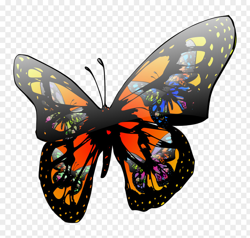Butterfly Effect Clip Art PNG