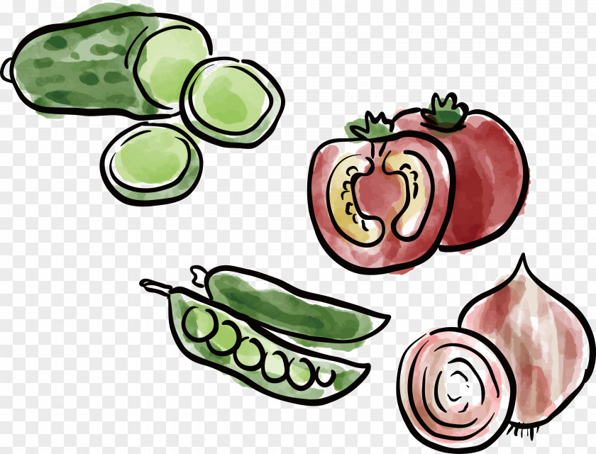 Children Hand-painted Vegetables Child Clip Art PNG