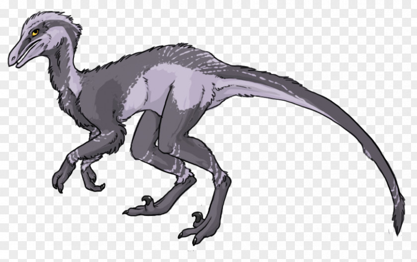Dinosaur Velociraptor Pyroraptor Graciliraptor Taveirosaurus PNG
