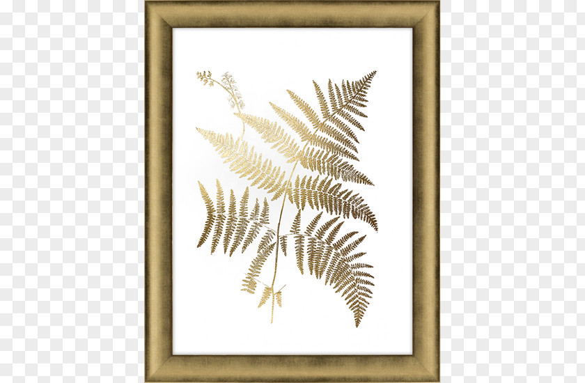 Gold Picture Frames Leaf Fern Art PNG