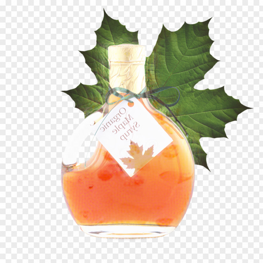 Holly Liquid Summer Beverage PNG