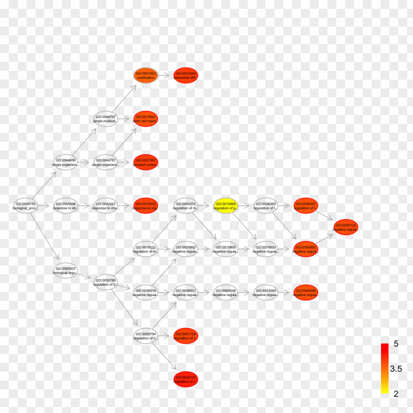 Line Point Diagram PNG