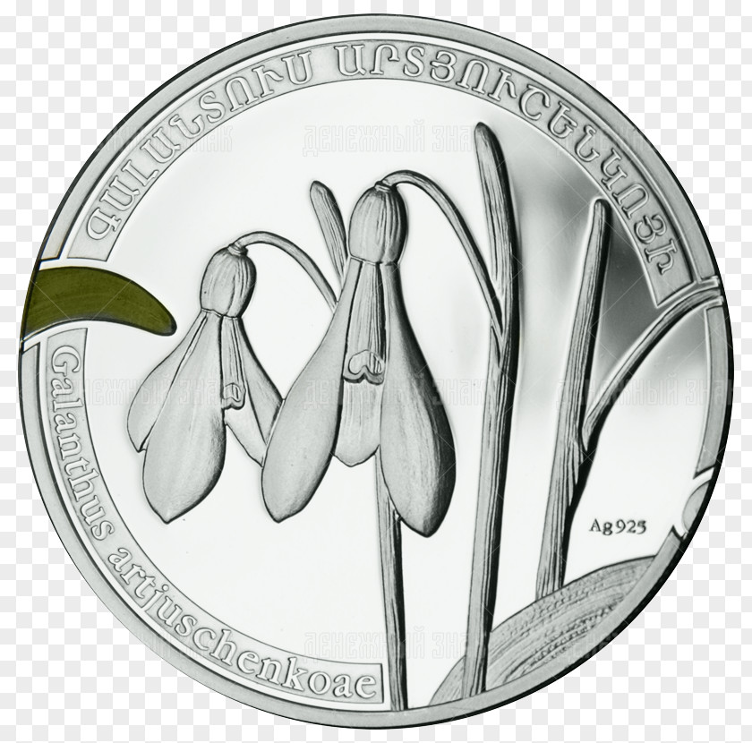 Coin Central Bank Of Republic Armenia Perth Mint Armenian Dram PNG