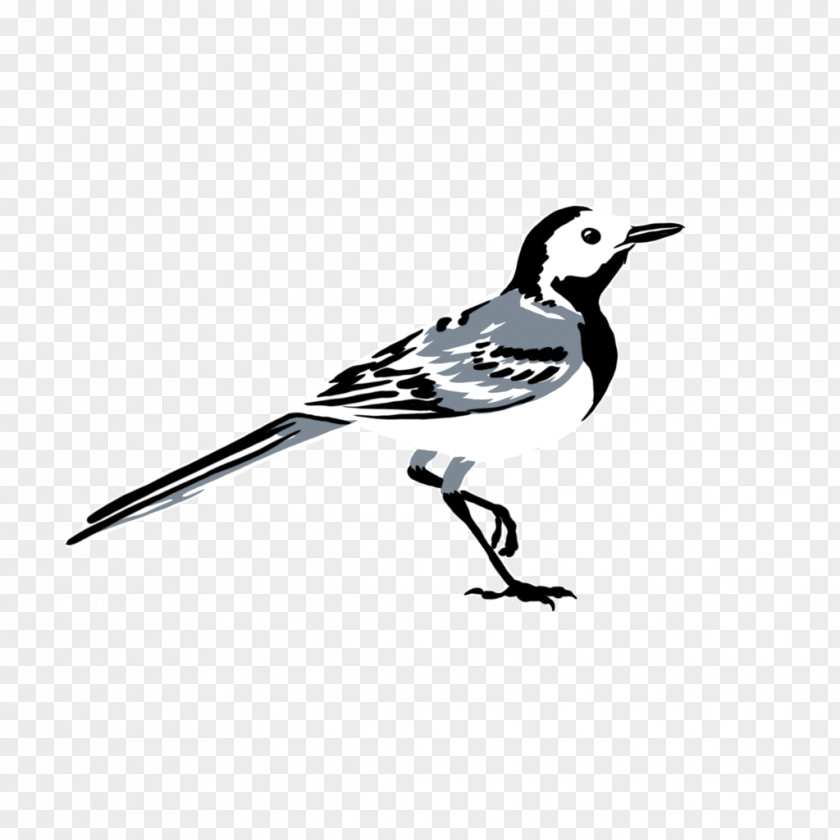 Lark Wildlife Cartoon Bird PNG
