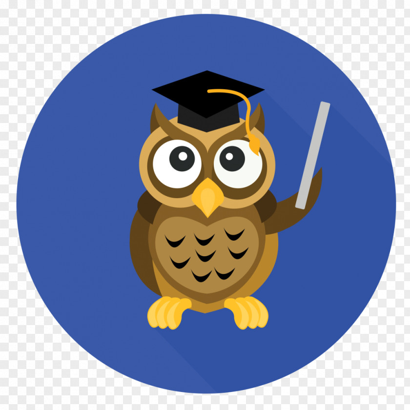 Owl Graduation Ceremony Education School Professional Development PNG