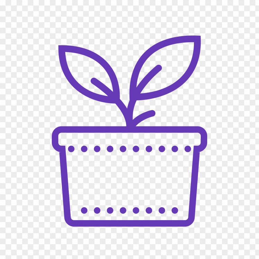 Plant Cannabaceae Evergreen Tree PNG