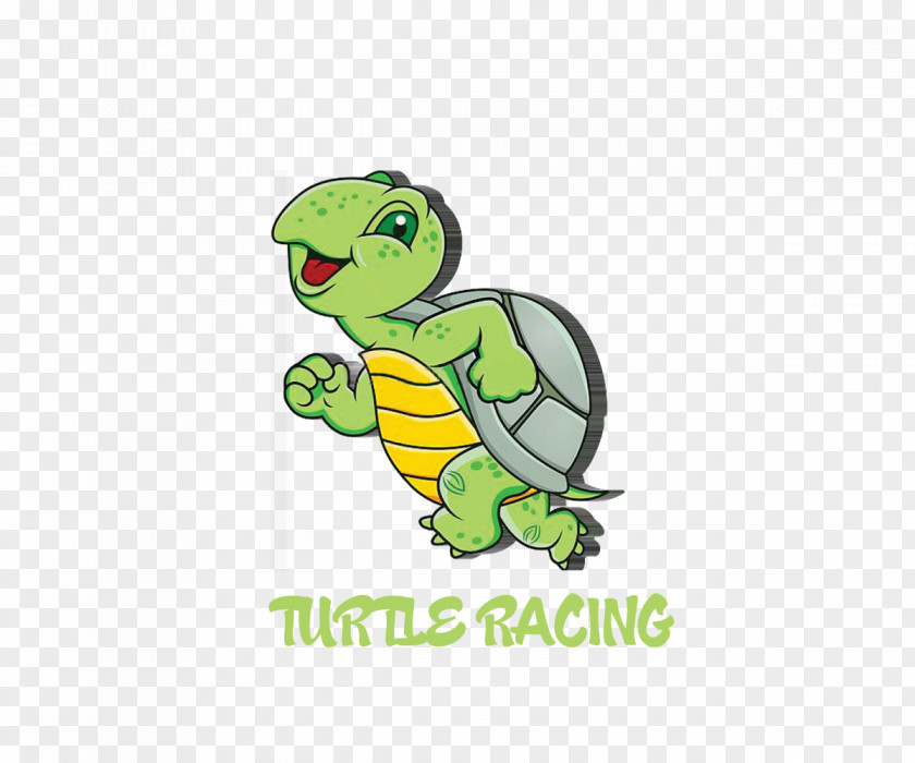 Turtle Logo Graphic Design Project PNG