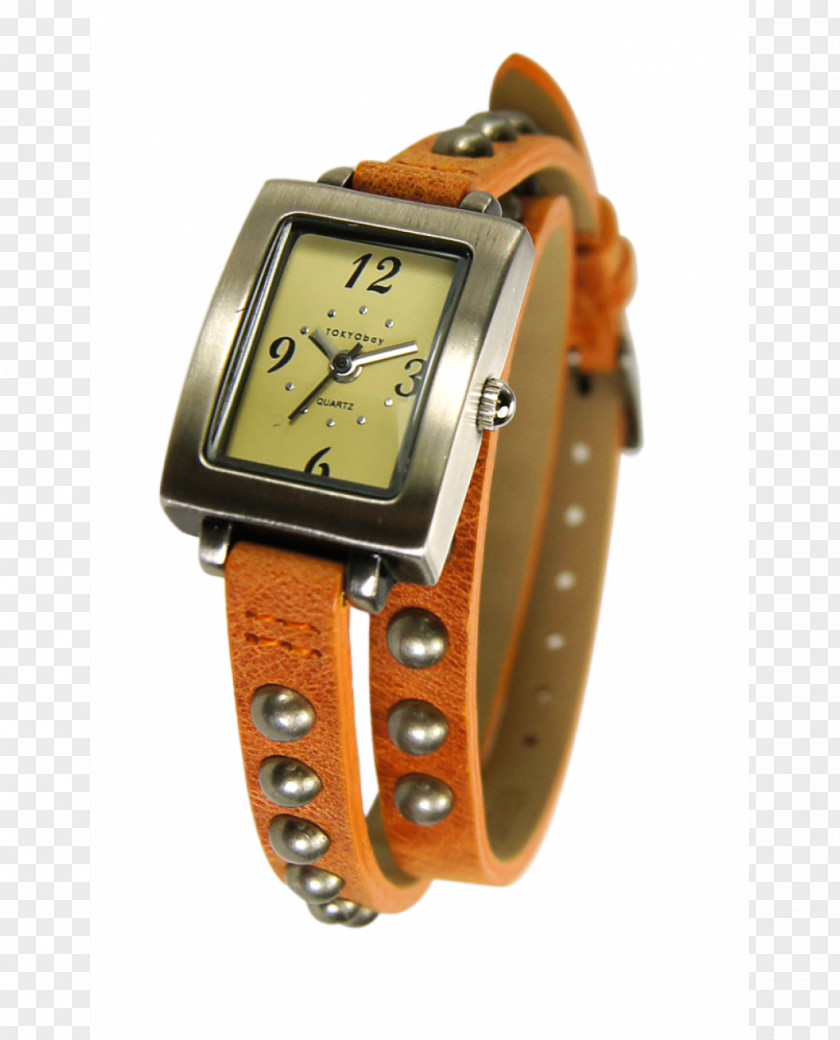 Watch Strap Metal PNG