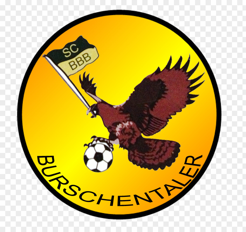 Am Ende Des Tages Sportclub Breite Burschen Barmen Handballkreis Wuppertal-Niederberg Association South Carolina Facebook PNG