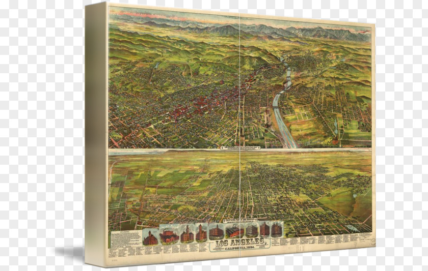 Birds Eye View Burger Los Angeles Library Of Congress Map Poster PNG