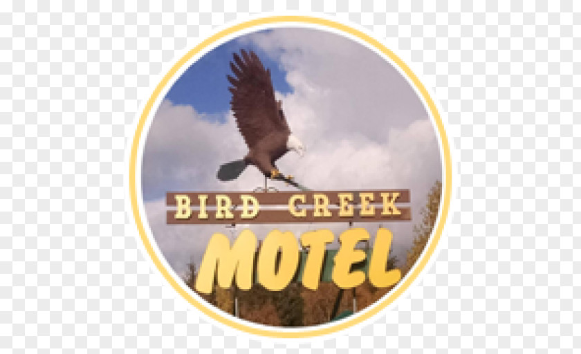 Hotel Bird Creek Motel & RV Park Expedia PNG
