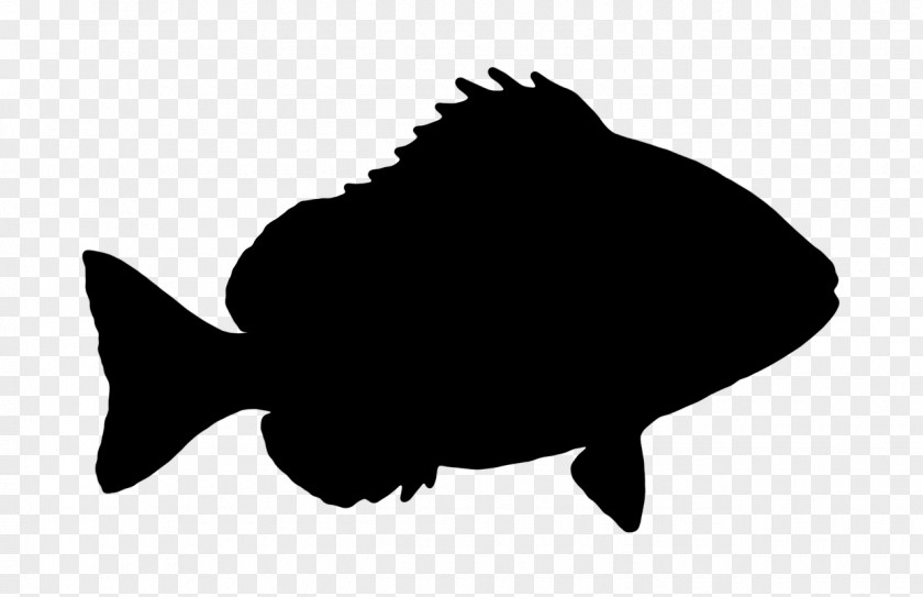 Rayfinned Fish Bonyfish Silhouette Flatfish Bony-fish PNG