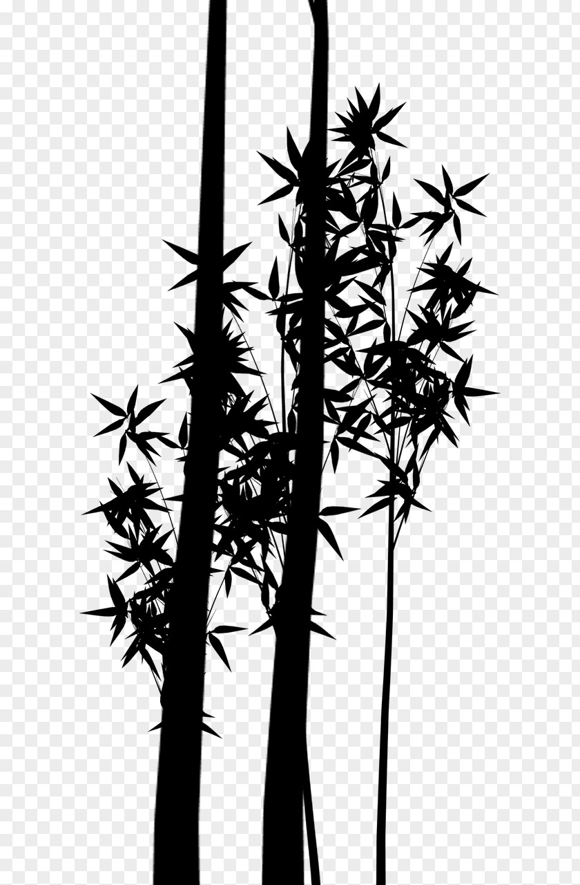Silhouette Plant Stem Bamboo Branching Plants PNG