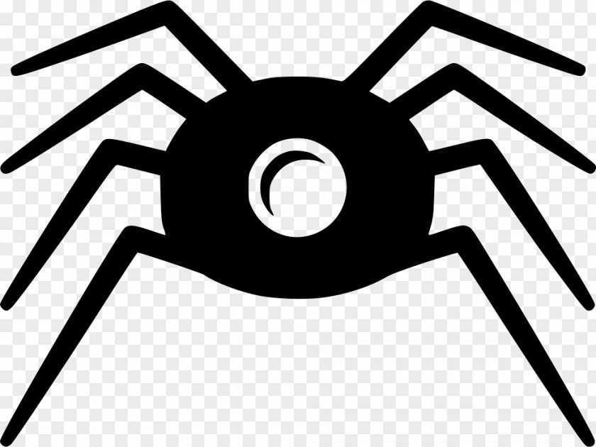 Spider Web Crawler PNG