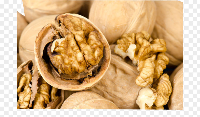 Thin-skinned Walnuts Close-up Walnut Dayao County Fruit U65b0u7586u7d19u76aeu6838u6843 PNG