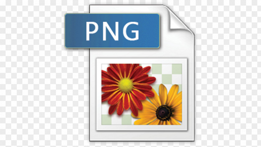 Tiff PDF Bitmap PNG