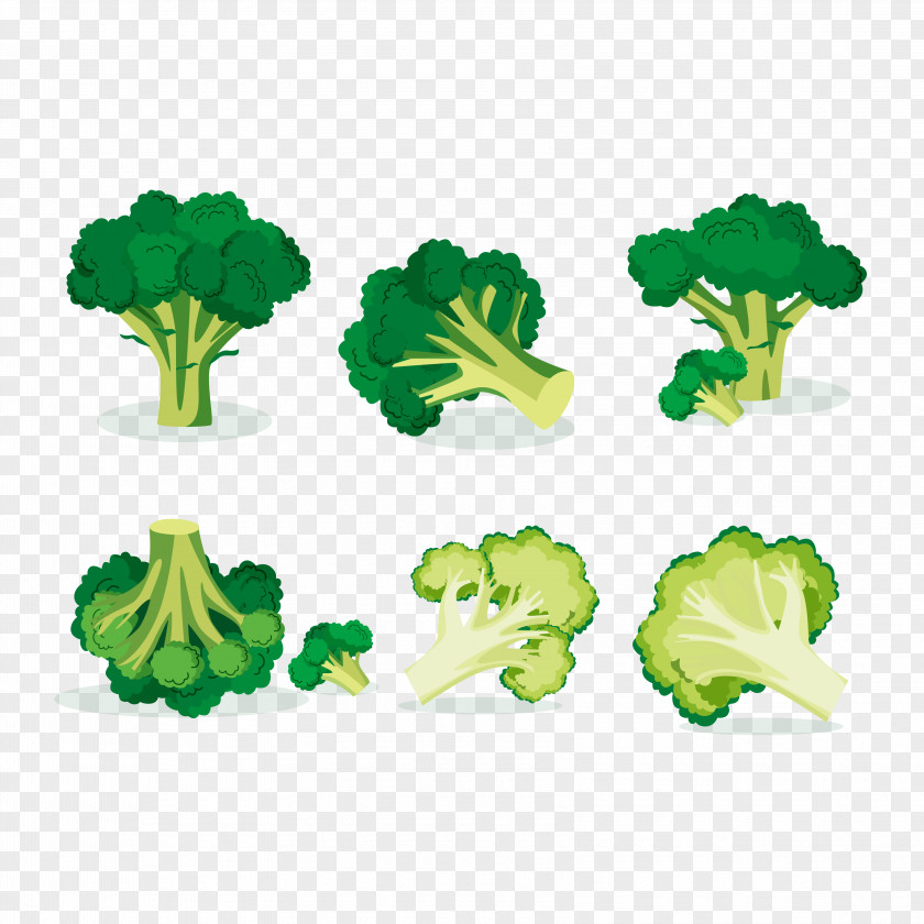 Vector Vegetables Cut Broccoli Vegetable Euclidean Illustration PNG