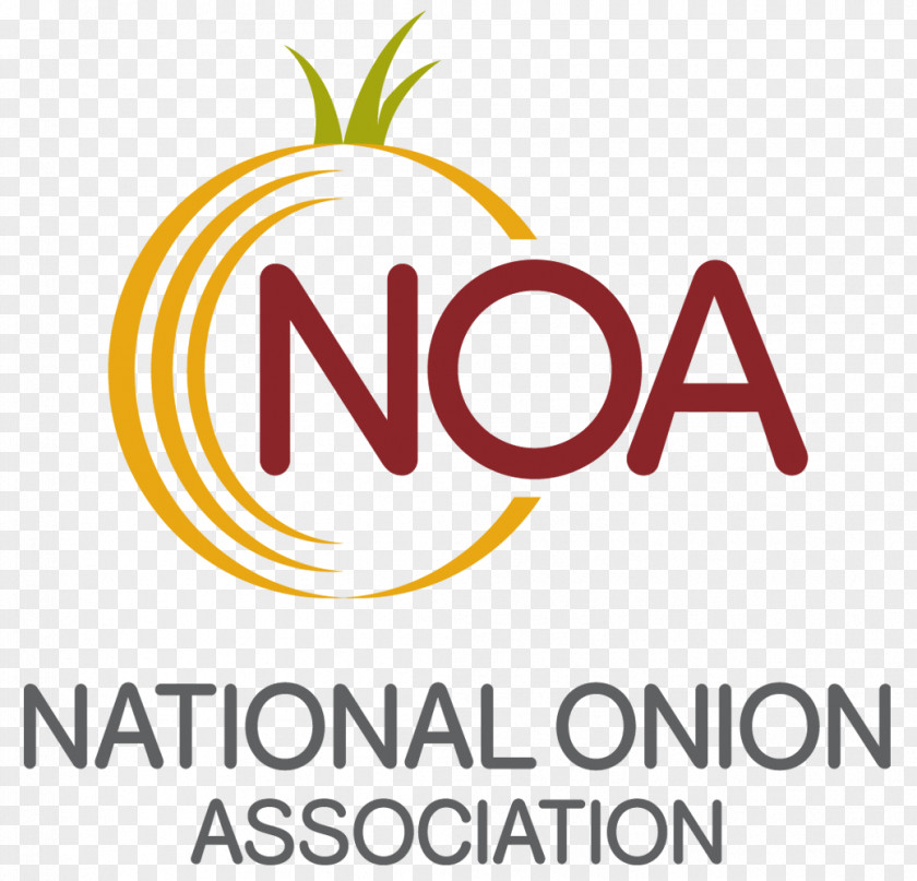 Cooking Cheese And Onion Pie National Association Quiche Potato PNG
