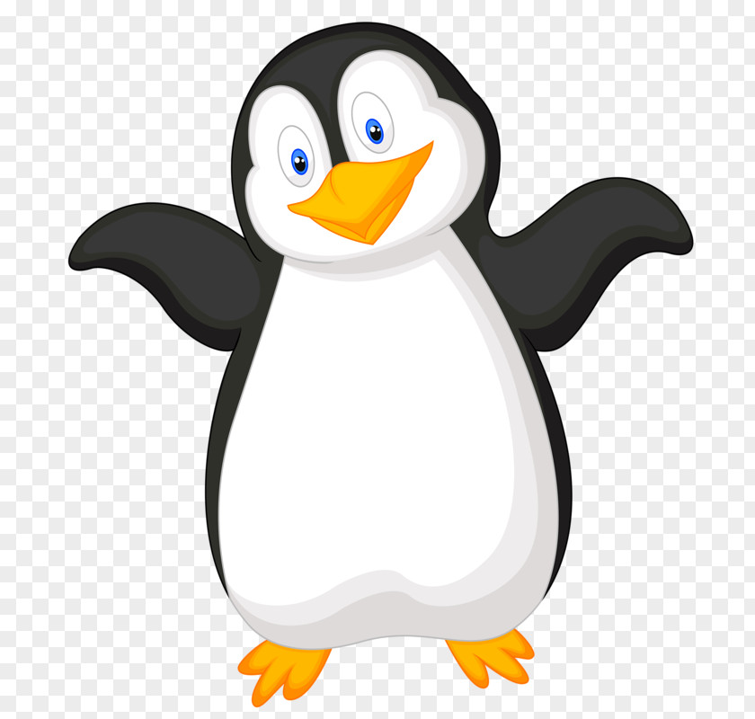 Cute Penguins Gentoo Penguin Bird Chinstrap Clip Art PNG