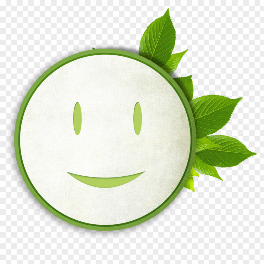 Free Green Smiley Pull Material Health Care Disease Family Insurance PNG
