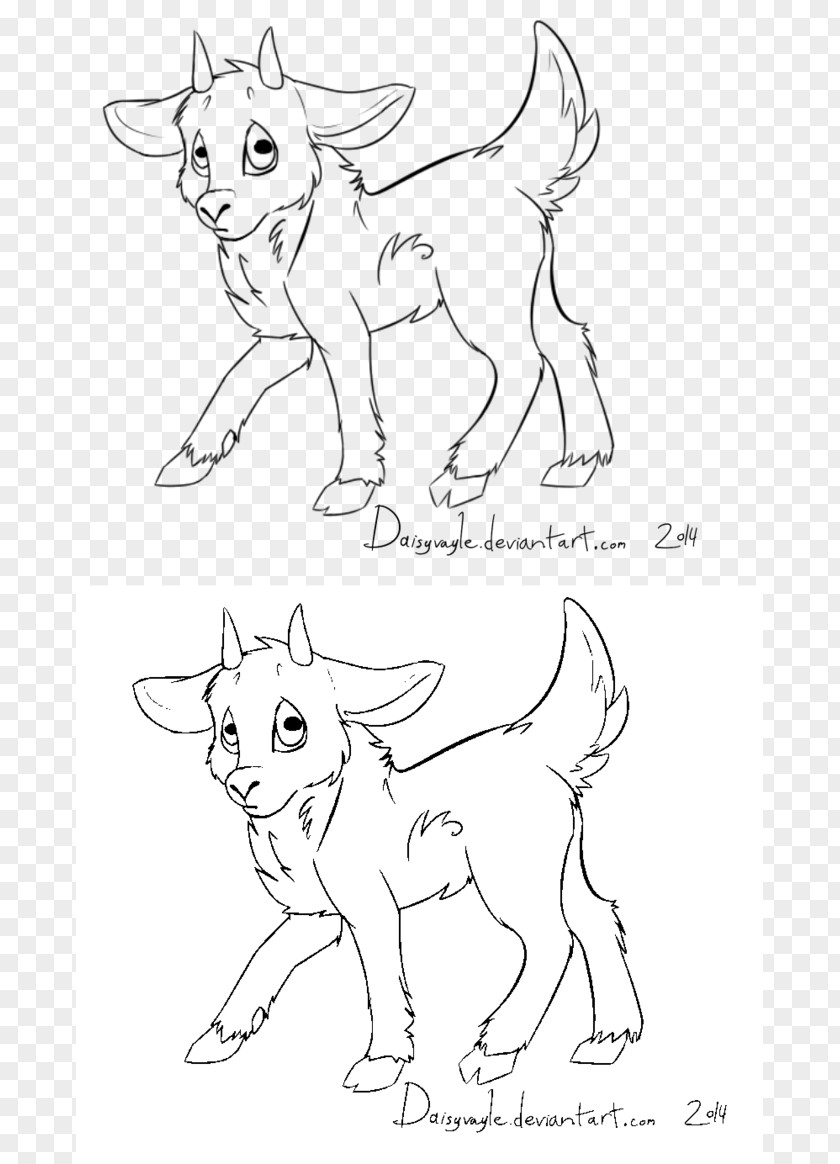 Goat Line Art Drawing Painting PNG