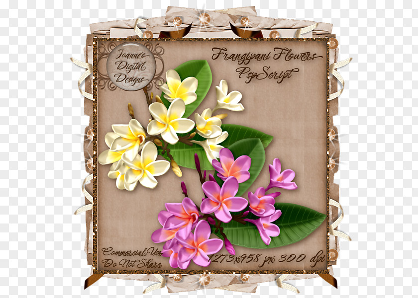 Painting Watercolour Flowers Watercolor Paper PNG