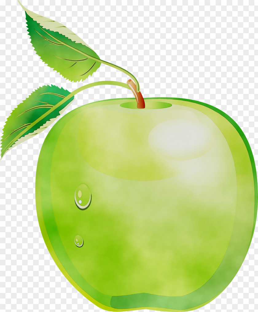 Clip Art Apple Image Vector Graphics PNG