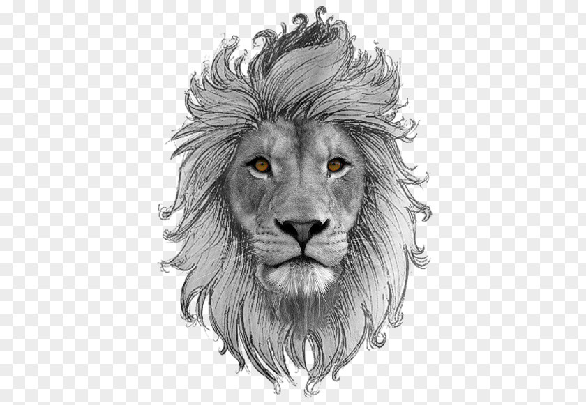 Leo PNG clipart PNG