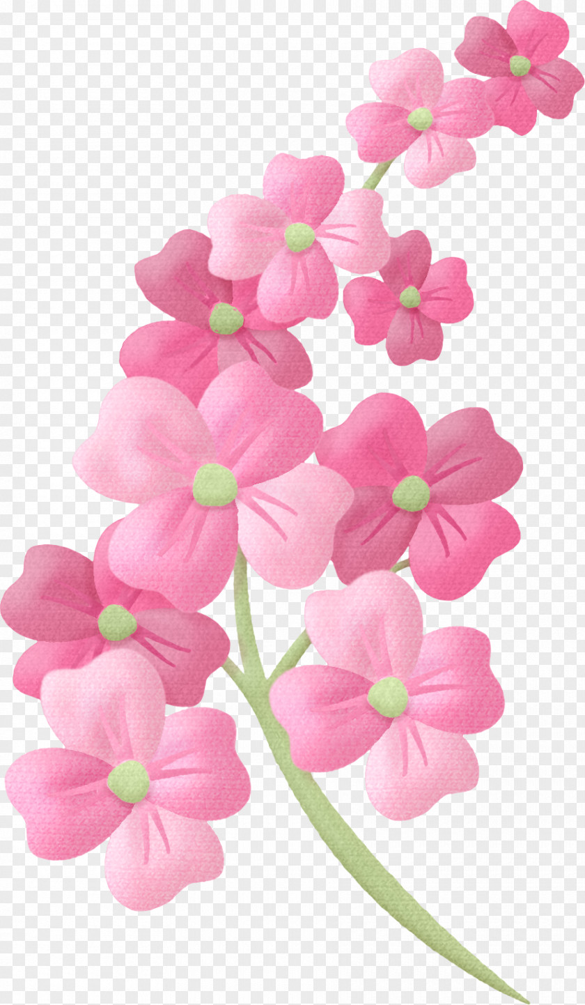 Peach Flower Pink Flowers Clip Art PNG