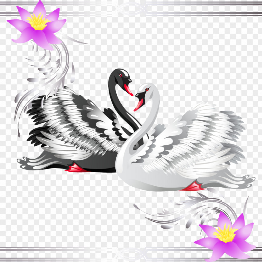 Vector Swan Black Royalty-free Stock Photography Clip Art PNG