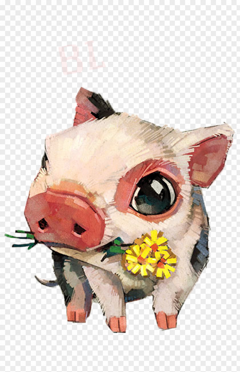 Flowers Pig Picture Material Domestic T-shirt Cuteness Illustration PNG