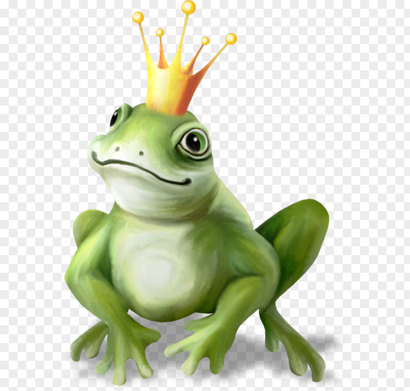 Frog True The Prince Image Drawing PNG