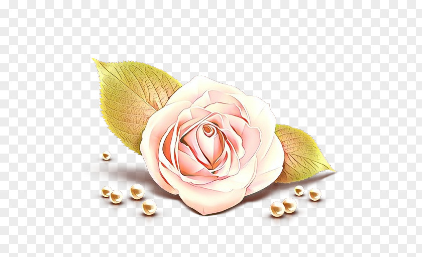 Garden Roses PNG