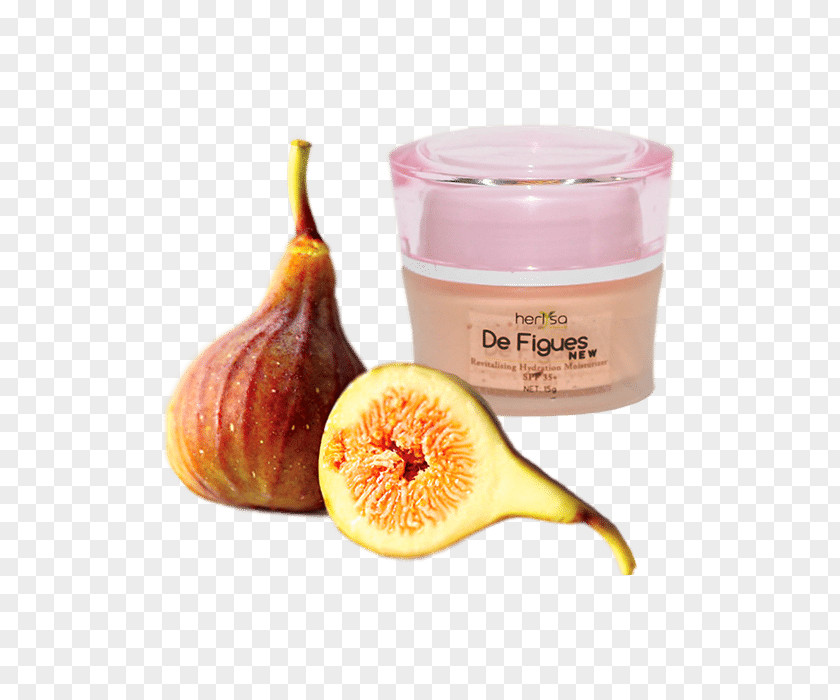 Halal Cart Common Fig Fruit Logistica Food Tree PNG