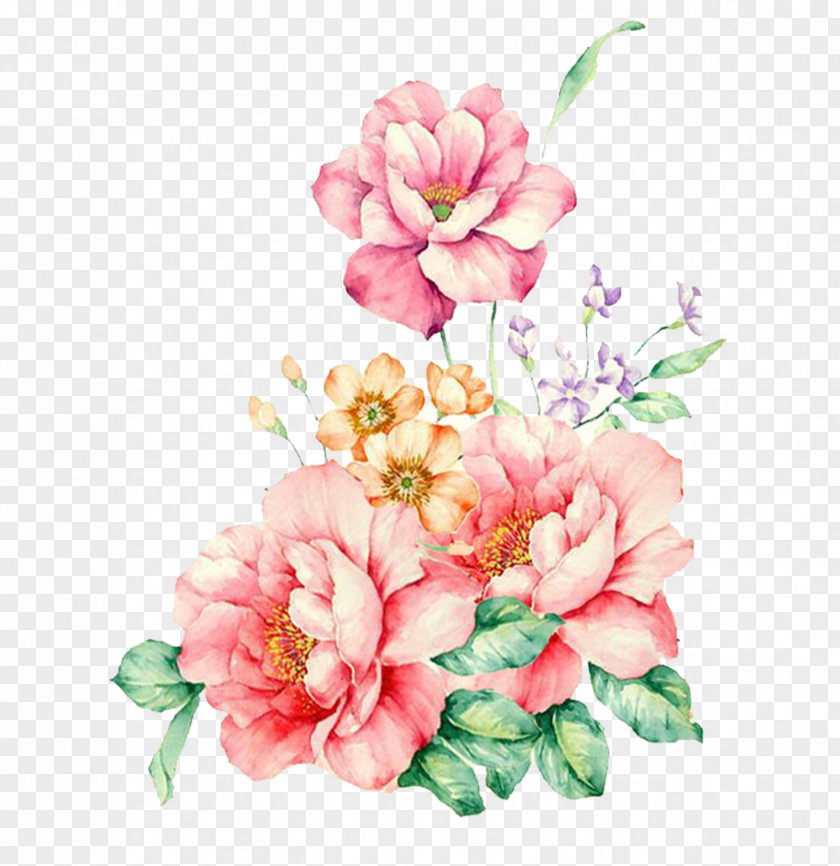 Hand-painted Decorative Pink Flower Flowers Watercolor Painting PNG