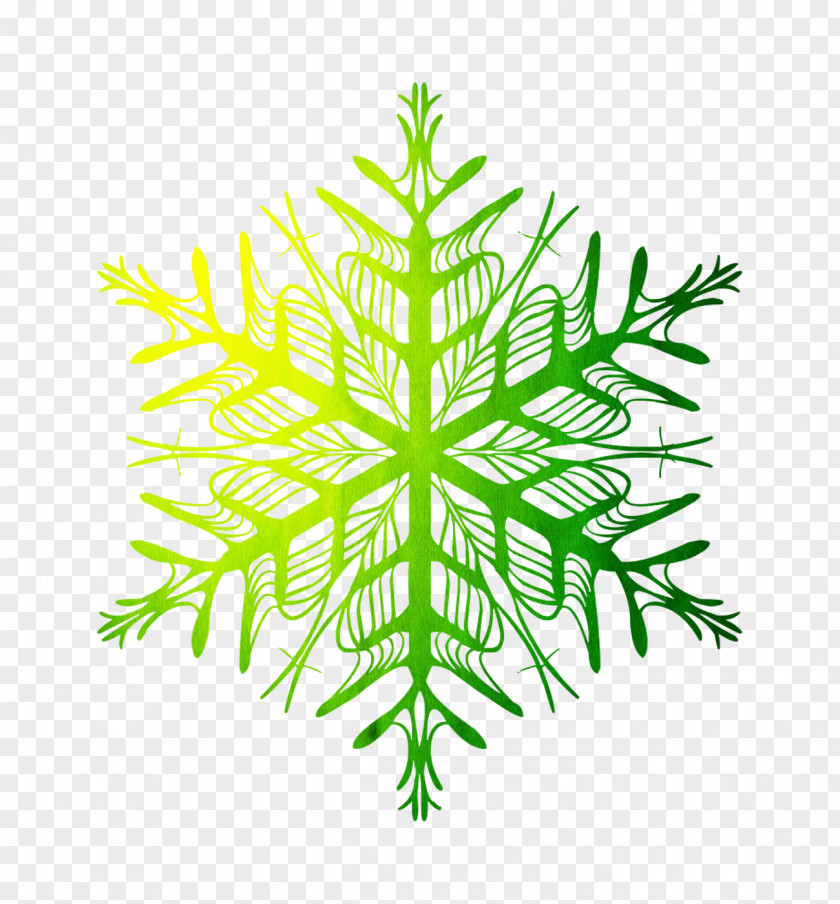 Snowflake Clip Art Vector Graphics Christmas Decoration PNG