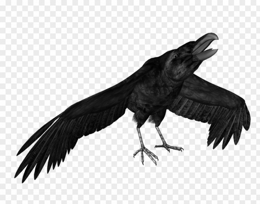 Crow American Macabre Idea Writer Ghoul PNG