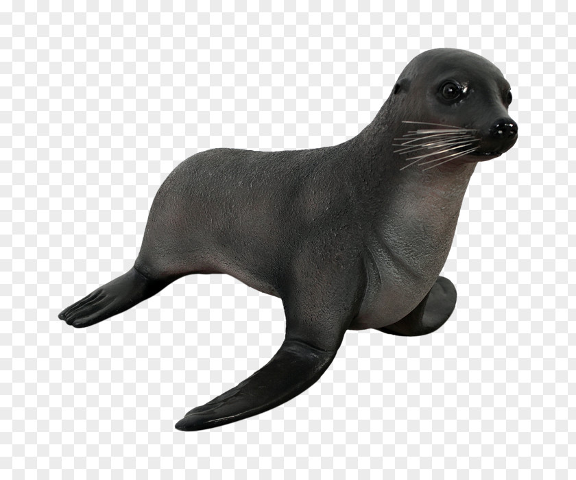 Fibreglass Sculptures Aquatic Animal Statue Fur SealThe Seal Sea Lion Natureworks Australia PNG