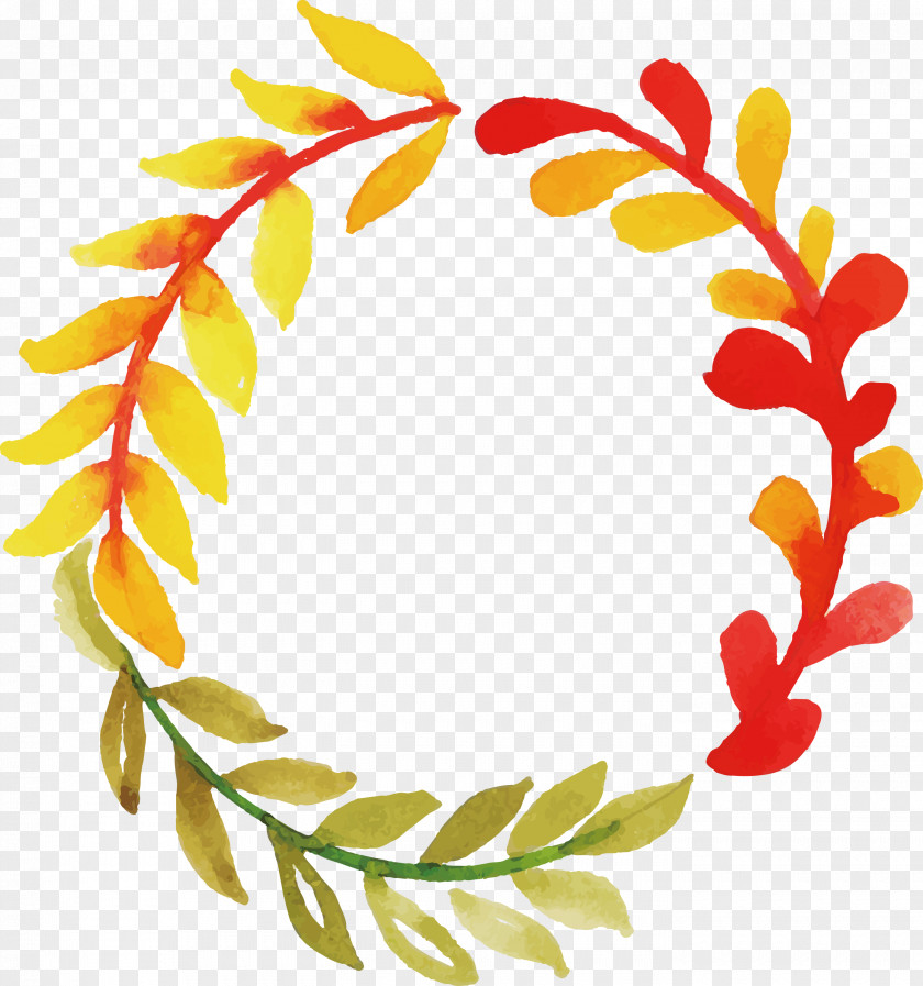 Floral Design PNG