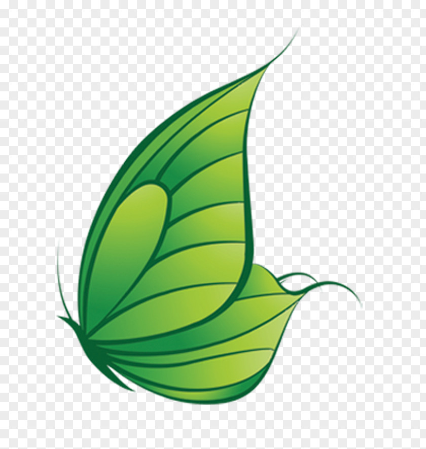 Green Art Butterfly Leaf PNG