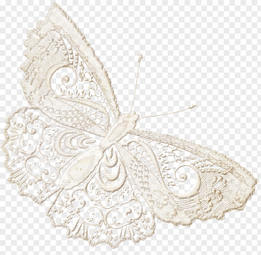 Lace Boarder Butterfly Moth Paper PNG