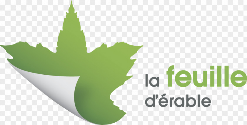 Leaf Maple Paper La Feuille D'Erable PNG