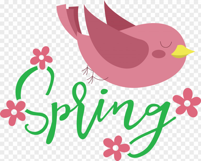 Spring Bird PNG