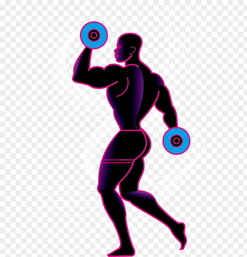 Vector Barbell Men Weight Training Olympic Weightlifting Silhouette Physical Exercise PNG