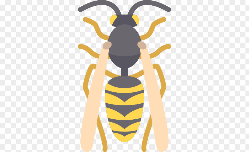 Bee Honey Wasp Insect Icon PNG